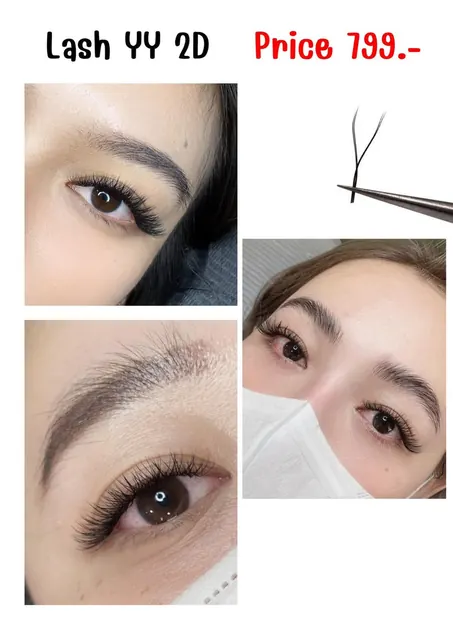 Lash YY 2D