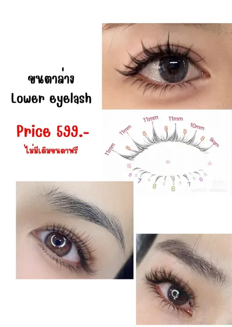 ขนตาล่าง Lower eyelash